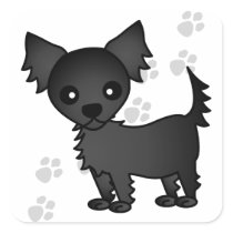 Cute Cartoon Black Long-haired Chihuahua Square Stickers