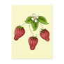 Cute Cartoon Bunch of Fruit Strawberries Design Postcards