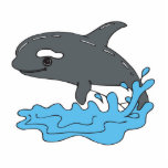 cute cartoon orca killer whale photo cut out