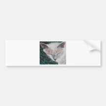 Cute Cat by Luella Bumper Sticker