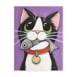 Cute Cat Eating A Fish Postcard