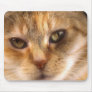 cute cat face 3 mousepads