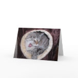 Cute Cat Yawning Greeting Card