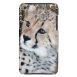 Cute Cheetah Cub Photo Barely There iPod Cover