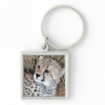 Cute Cheetah Cub Photo keychains