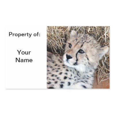 cheetah name