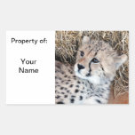 Cute Cheetah Cub Photo Name Label / Stickers