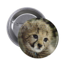 Cute cheetah cub pinback button