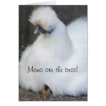 Cute chick "Moms are the best" Mother's Day card