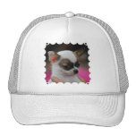 Cute Chihuahua  Baseball Hat