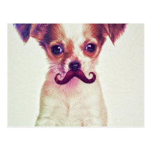 Cute Chihuahua With Purple Funny Moustache Post Card