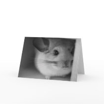 Cute Chinchilla Greeting Card