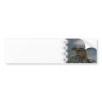 Cute Chipmunk Bumper Sticker