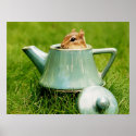 Cute Chipmunk in Teapot Poster posters