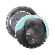 Cute Chocolate Lab Button