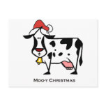 Cute Christmas Cow postcards