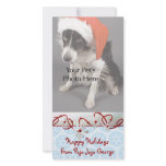Cute Christmas Photo Cards photo cards