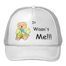 Cute coloured cartoon bear with "it wasn't me"text hat