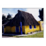 Cute Cozumel Cottage