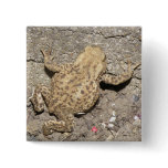 Cute Crawling Toad Button
