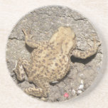 Cute Crawling Toad Coasters