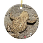 Cute Crawling Toad Custom Birthday ornaments