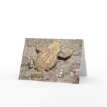 Cute Crawling Toad Greeting Card