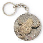 Cute Crawling Toad Keychain