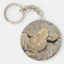 Cute Crawling Toad Keychain