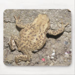 Cute Crawling Toad Mousepad