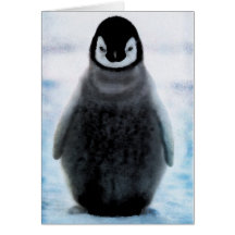 Cute Cuddly Penguin Lover Art Gift Card