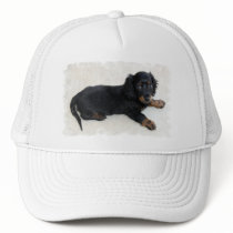 Cute Daschund Baseball Hat