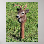 Cute Deer Head Lawn Ornament Poster Print