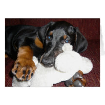 Cute Doberman Pinscher Puppy - Blank Note Card
