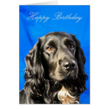 Cute Dog Birthday Card