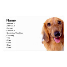 Cute Dog Dachshund (Doxie) Business Card