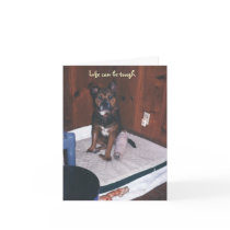 Cute Dog Get Well/Broken Leg Card