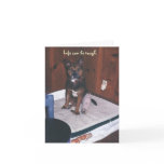 Cute Dog Get Well/Broken Leg cards