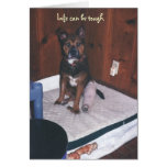 Cute Dog Get Well/Broken Leg Card