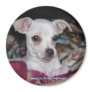 Cute Dog-Magnet.