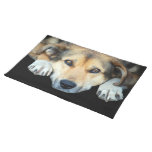 Cute dog on any colour background place mats