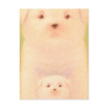 Cute Dog postcards