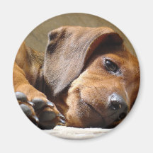 Cute dog refrigerator magnet
