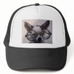 Cute dog with oversized glasses hats