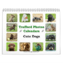 Cute Dogs Calendar