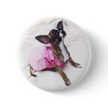 Cute Dressed Up Chihuahua Girl buttons