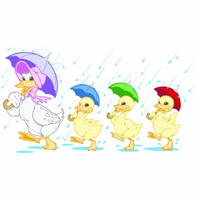 Rain Duck