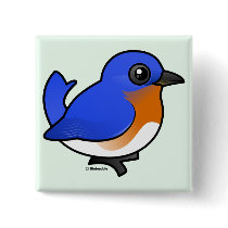 Cute Eastern Bluebird