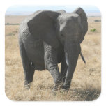cute elephant stickers