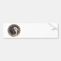 Cute English Setter Bumper Sticker